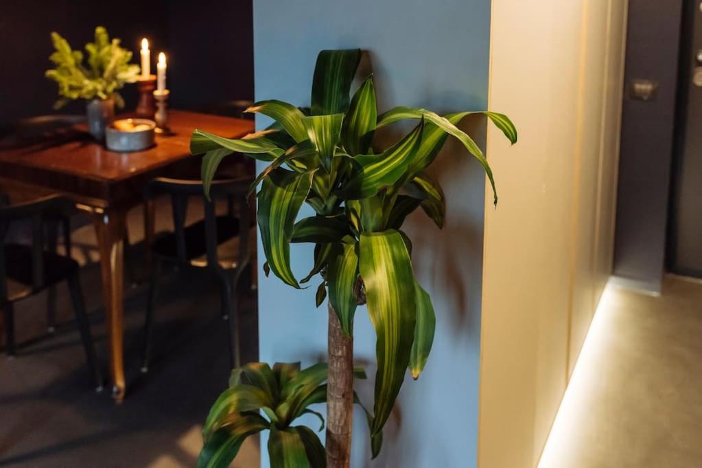 Apartmán Luxury Downtown Bukurešť Exteriér fotografie